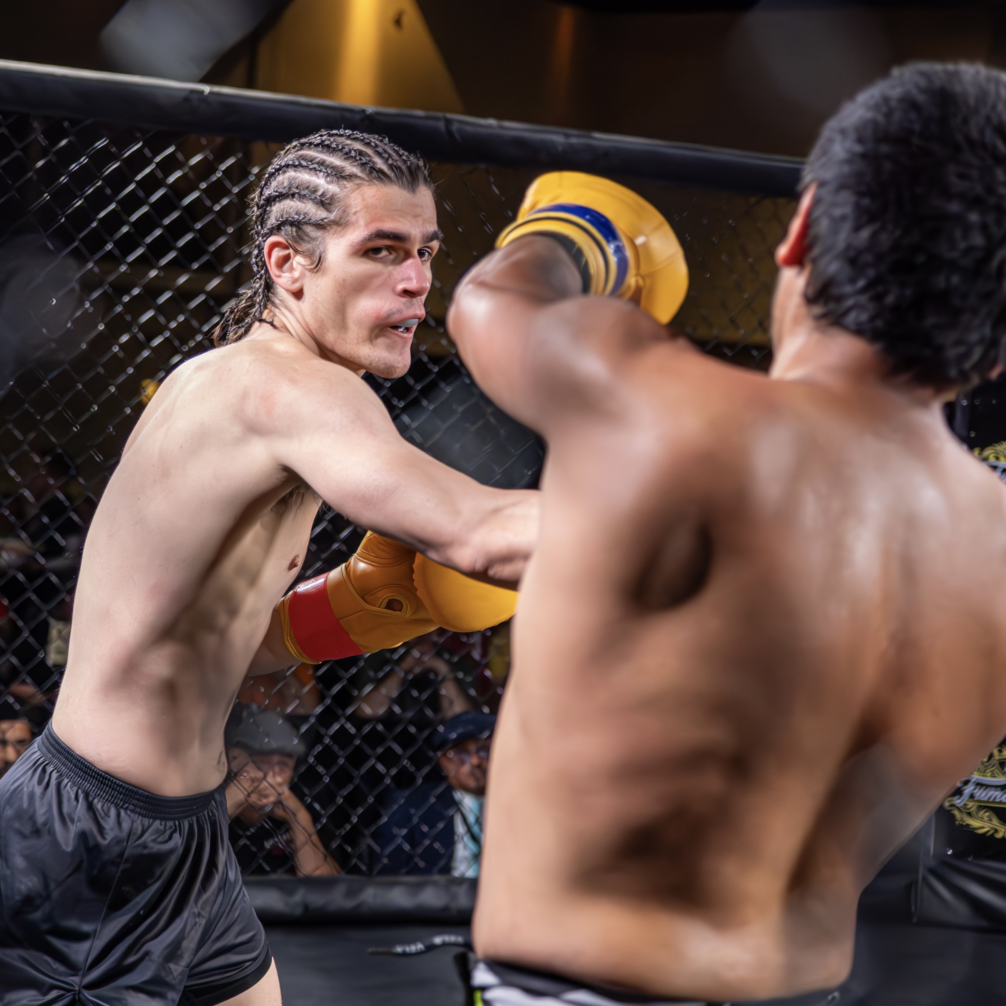Dom punching in kickboxing match